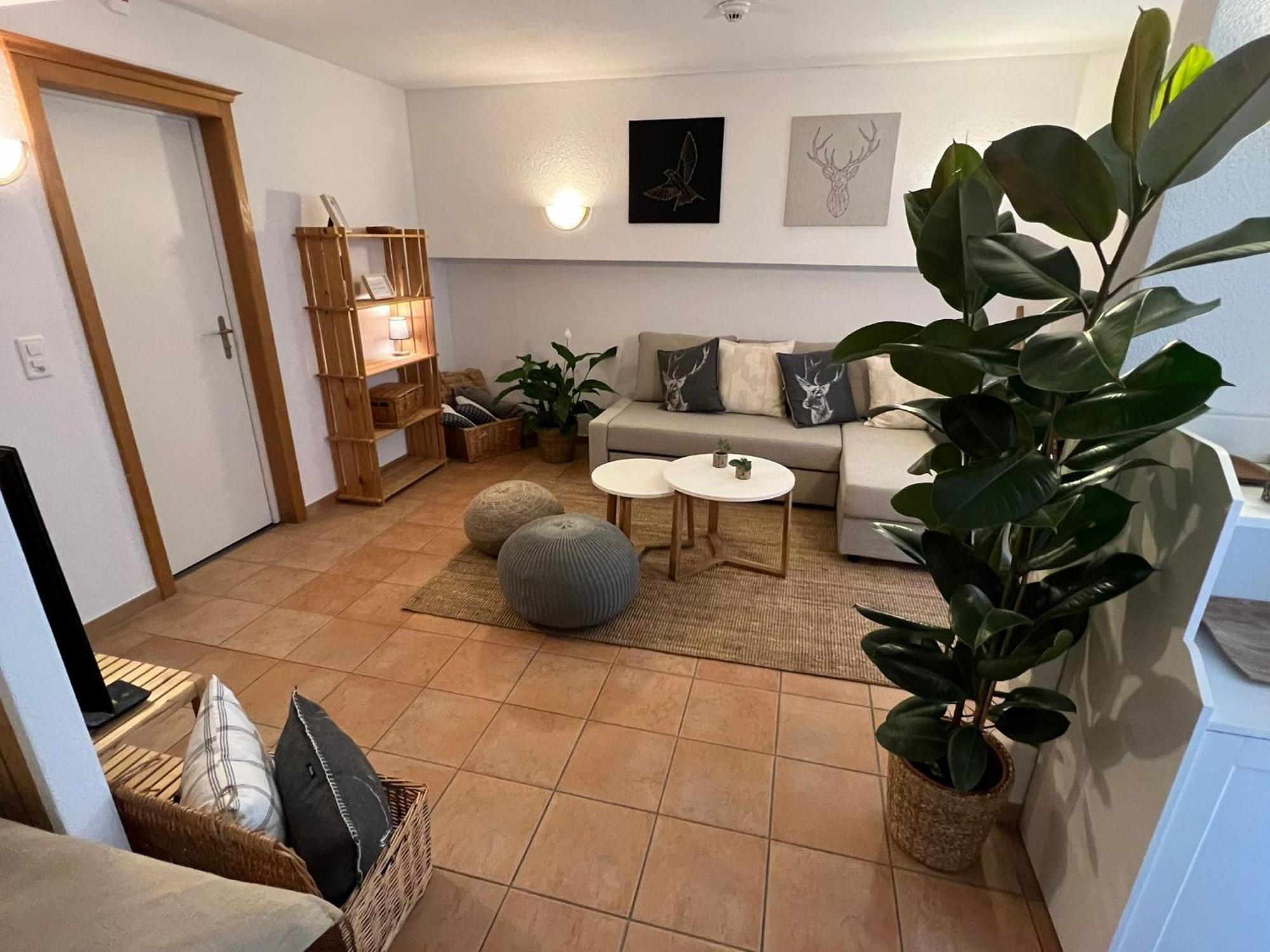 Spannort Family Home With Common Kitchen And Self Check-In エンゲルベルク エクステリア 写真